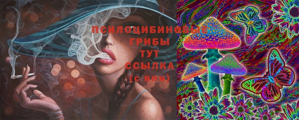 гидра Козельск
