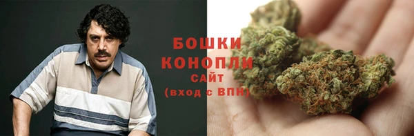 гидра Козельск