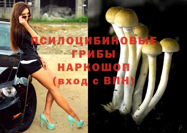 прущие грибы Киреевск