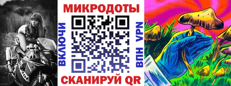 где можно купить   Называевск  Галлюциногенные грибы Magic Shrooms 